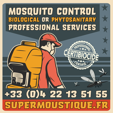 Intervention rapide moustique hôtel 06