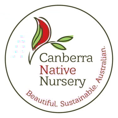 Logo of a bird with a wing in the form of a leaf on a branch.