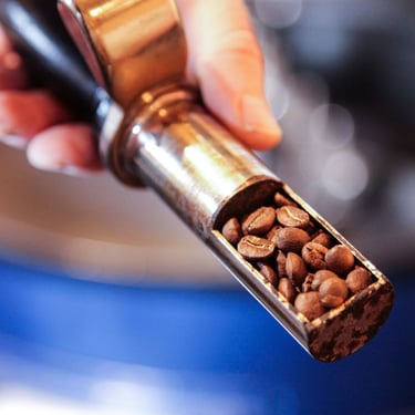 A close-up look of a small batch of coffee beans that were pulled from a coffee roasting process