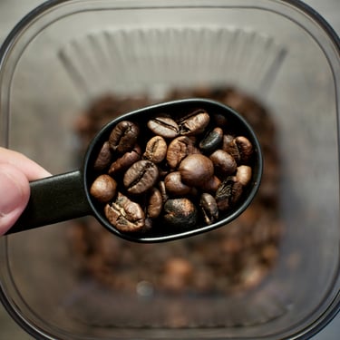 A coffee roaster holding up a freshly roasted coffee beans that's stored properly