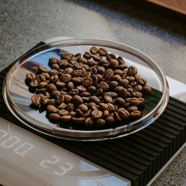 Freshly roasted coffee beans on a weighing scale. 