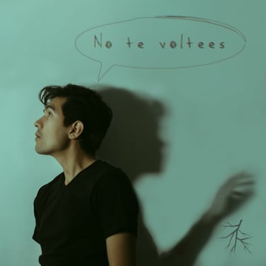 Portada "No te voltees"