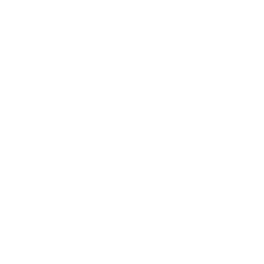 And icon showing a shield