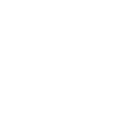 An icon showing a lock