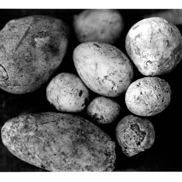 An analogue picture of set of small stones on a beach. Author: Slawek Dejneka