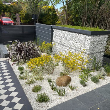 transformed garden into mediterranean style to cope with full sun