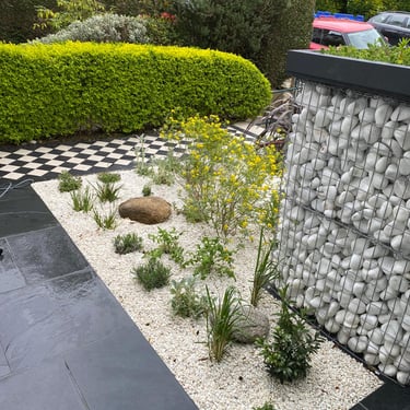 new mediterranean dry garden in front of Victorian house