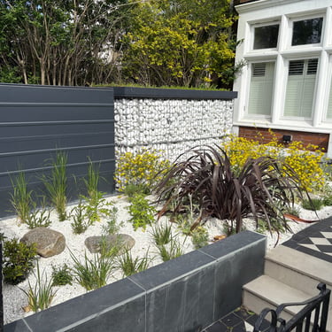 drought tolerant front garden in a Victorian house in Blackheath