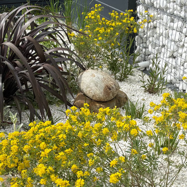 mediterranean style gravel front garden in blackheath