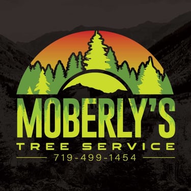 Moberly’s Tree Service logo with a green tree silhouette and sunset background, featuring bold text and the contact number