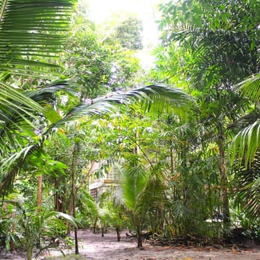 A Casa do Vigia, Refúgio do Sagrado Eventos e hospedagem em Morere, Ilha de Boipeba. Bangalô em aluguel de temporada. 