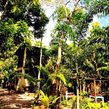 A Casa do Vigia, Refúgio do Sagrado Eventos e hospedagem em Morere, Ilha de Boipeba. Bangalô em aluguel de temporada. 