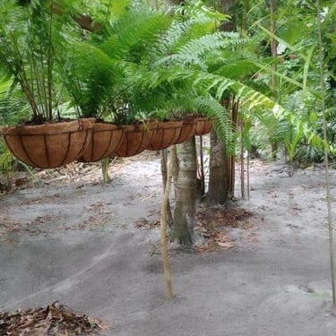 A Casa do Vigia, Refúgio do Sagrado Eventos e hospedagem em Morere, Ilha de Boipeba. Bangalô em aluguel de temporada. 