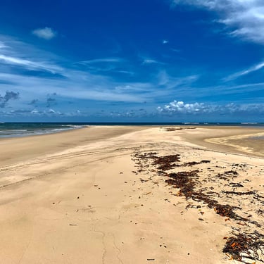 Trilhas, Ilha de Boipeba Praia de Castelhanos Refúgio do Sagrado. Eventos e hospedagem