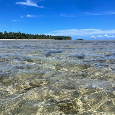 Trilhas, Ilha de Boipeba Praia de Castelhanos Refúgio do Sagrado. Eventos e hospedagem
