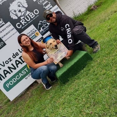 Golden Labrador wearing a graduation cap holding a diploma with trainers at a dog training school L.