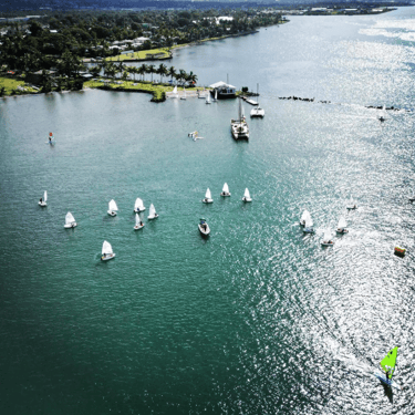 a group of sailboats sailing on the water