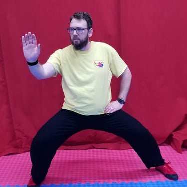 Instructor in Chen Tai Chi posture Lan Zha Yi