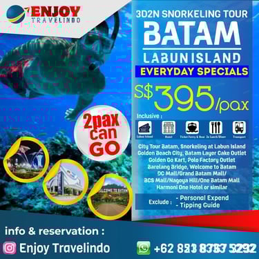 tour operator for snorkeling, tour batam, enjoy batam, sea sport batam, cheap tour, private tour