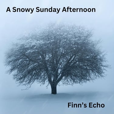 A Snowy Sunday Afternoon Album Art for Finn's Echo