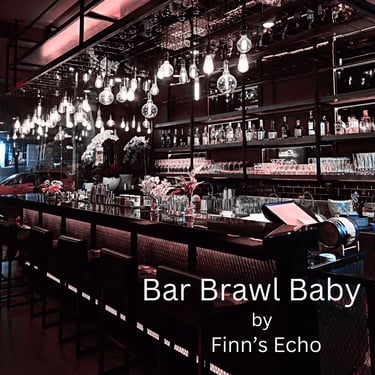 Bar Brawl Baby (feat Steve Contino) Album Art  for Finn's Echo