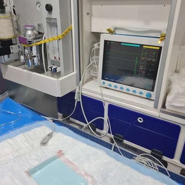 Ambulancia Veterinaria a domicilio Leonor