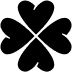 Icone 2CT Consultant