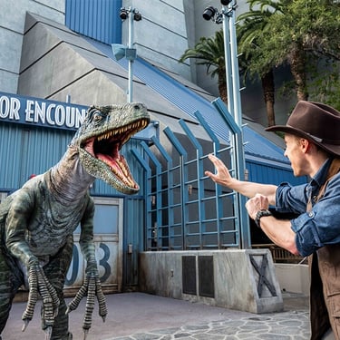 Raptor Encounter