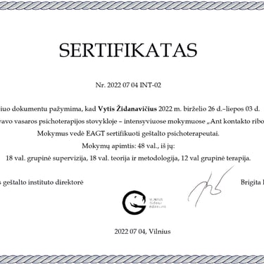 Vyčio Židanavičiaus kvalifikacijos kėlimo sertifikatas