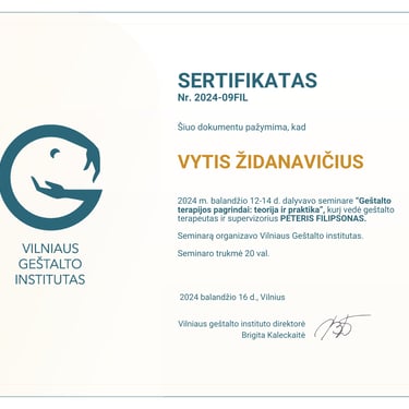 Vyčio Židanavičiaus kvalifikacijos kėlimo sertifikatas