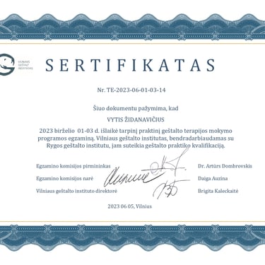 Vyčio Židanavičiaus kvalifikacijos kėlimo sertifikatas (trečių metų baigimo diplomas)