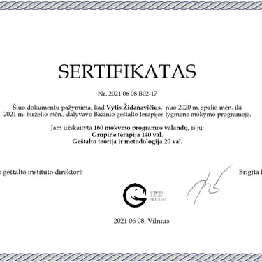 Vyčio Židanavičiaus kvalifikacijos kėlimo sertifikatas