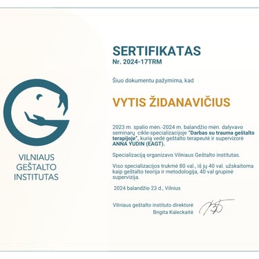 Vyčio Židanavičiaus kvalifikacijos kėlimo sertifikatas (mokymai apie darbą su traumą)