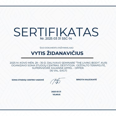 Vyčio Židanavičiaus kvalifikacijos kėlimo sertifikatas