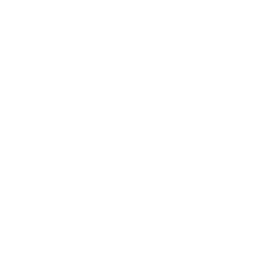 cultura organizacional