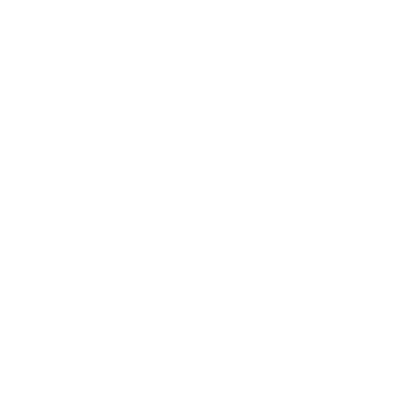 project milestone and goals