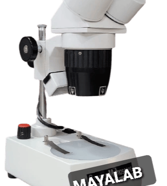 Stereo Microscope