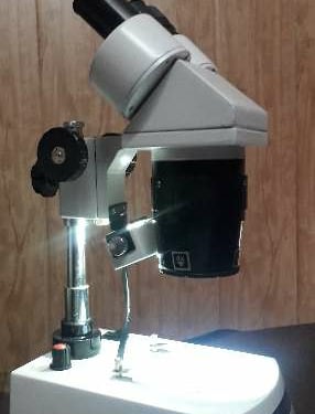 #STEREO MICROSCOPE