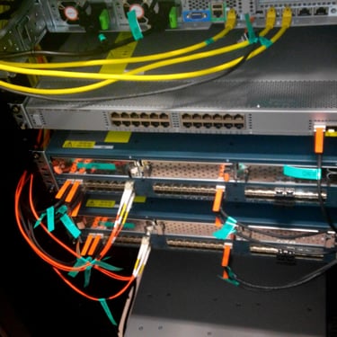 Logic Data Center after reorganization- Back Cisco Rack View