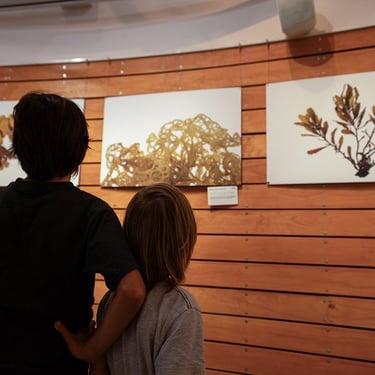 Alga! exhibition