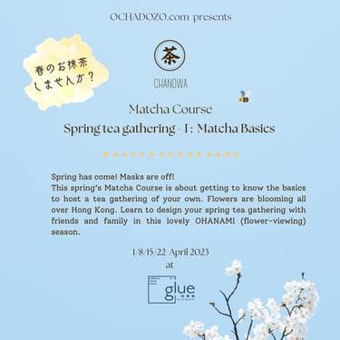 Sakura blooming under the blue sky. An intro of our first CHANOWA course, "Spring tea gathering - I: Matcha Basics".