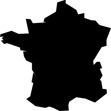 Logo minimaliste de la France