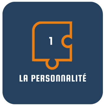 pièce 1 du master puzzle : la personnalité
