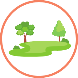 Go for a Walk in the Park
