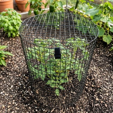 Plant Thing Protector on the job 24/7.
