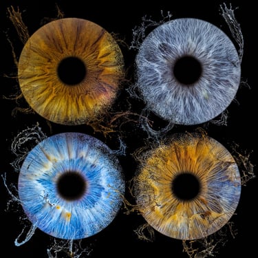 photos iris bordeaux