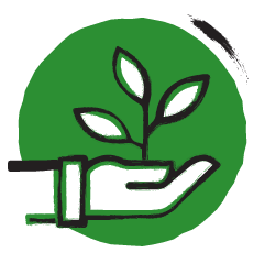 icoon in groen en zwart-wit van een hand met een plantje