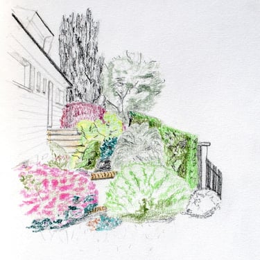 croquis au crayon style japonais avec des azalées et des rhododendrons