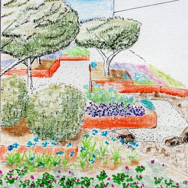 Croquis au crayon toit-terrasse avec des pins mugo