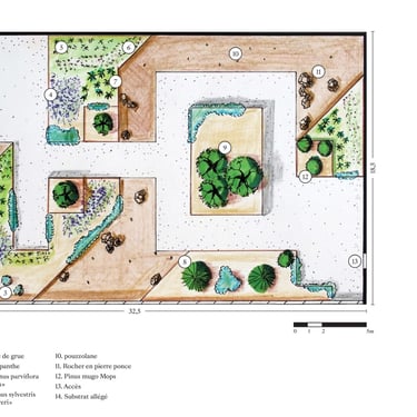 Plan de masse toit-terrasse avec des pins et agapanthes